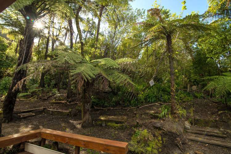 301 State Highway 30 Lake Rotoma_17