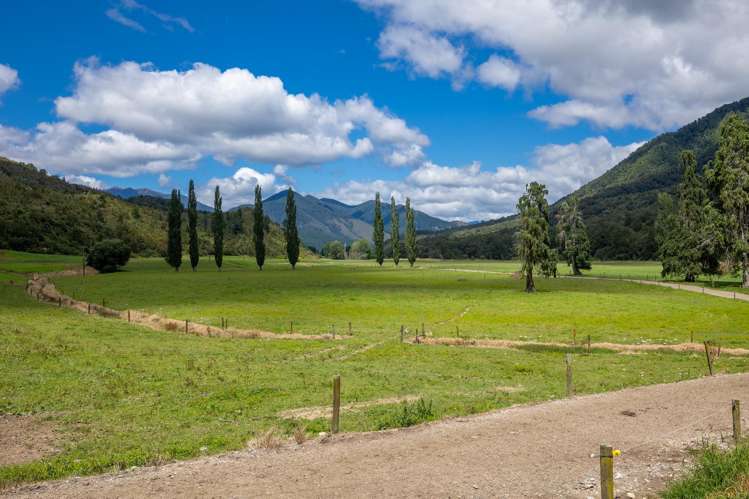 1153 Shenandoah Highway Murchison_31