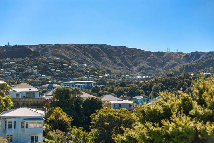 26 Fernhill Terrace Wadestown_11