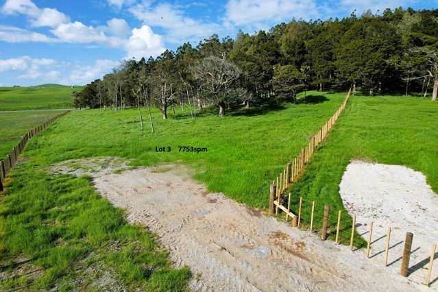 Lot Lot 3 Sills Road Dargaville_1