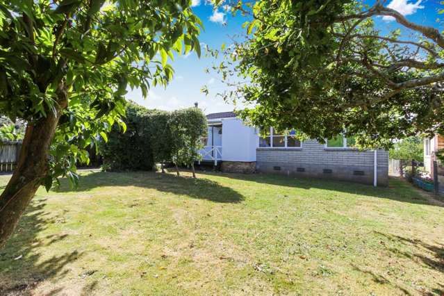 72 Webster Avenue Mount Roskill_2