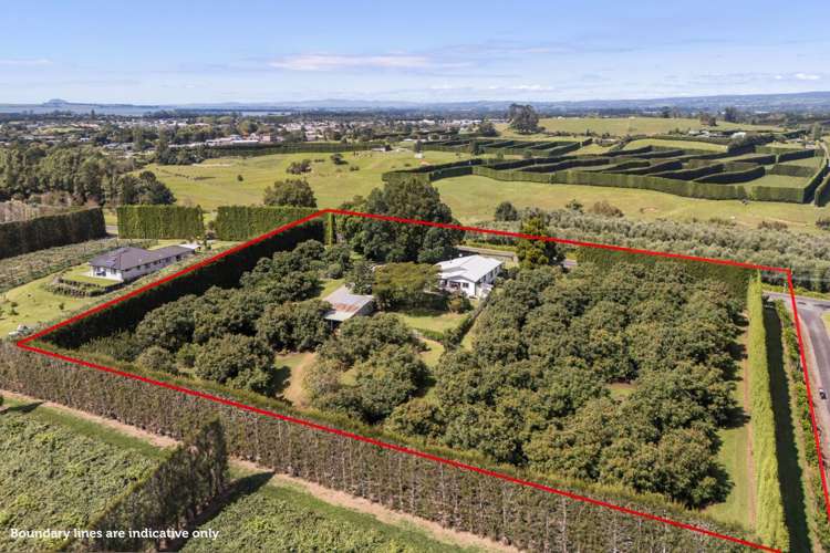 96 Lindemann Road Katikati_23