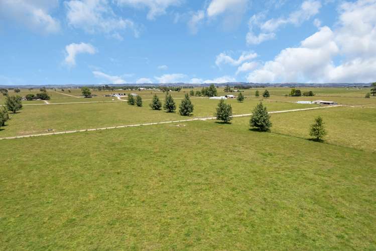 530 Tramline Road Ruawai_18