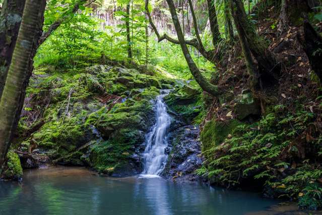 849 Owhiwa Road Parua Bay_1