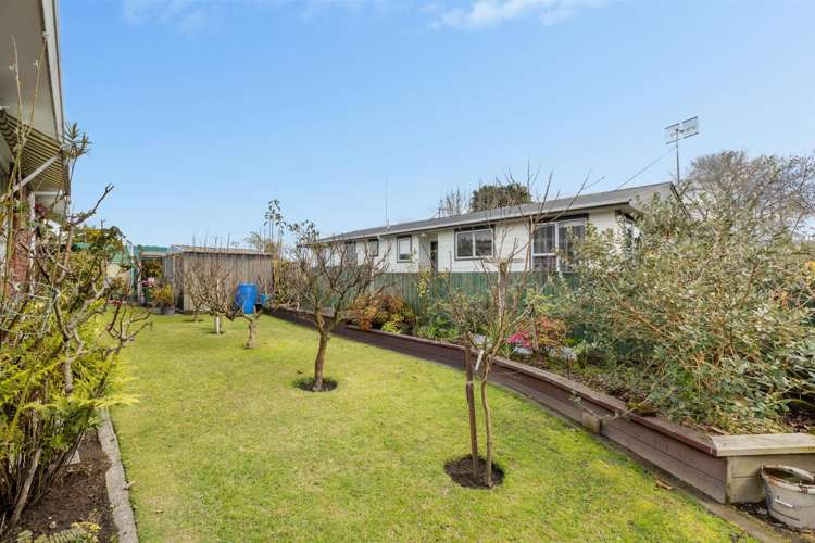 151b Boucher Avenue Te Puke_13