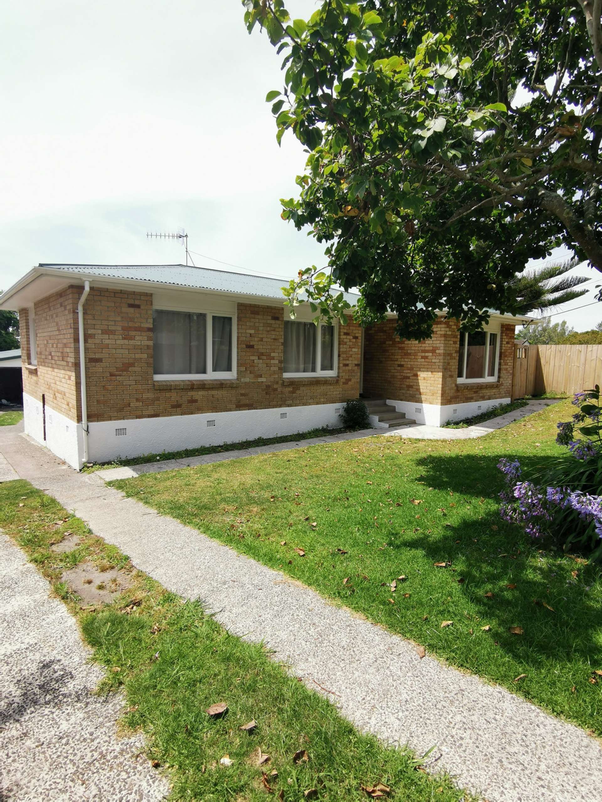 16 Herbert Street Te Puke_0