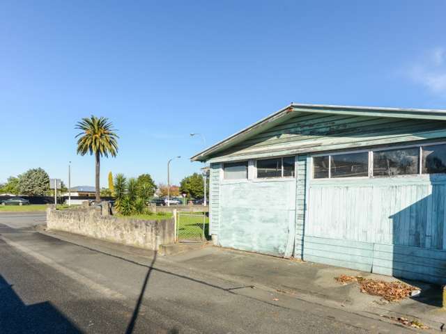 203 Carlyle Street Napier South_3