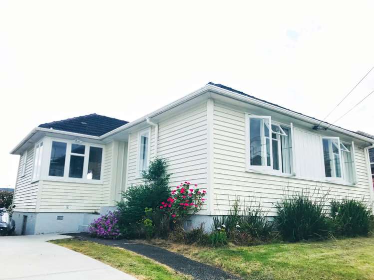 20 Rawalpindi Street Mount Albert_0