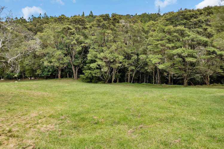 63 Memorial Drive Parahaki_29