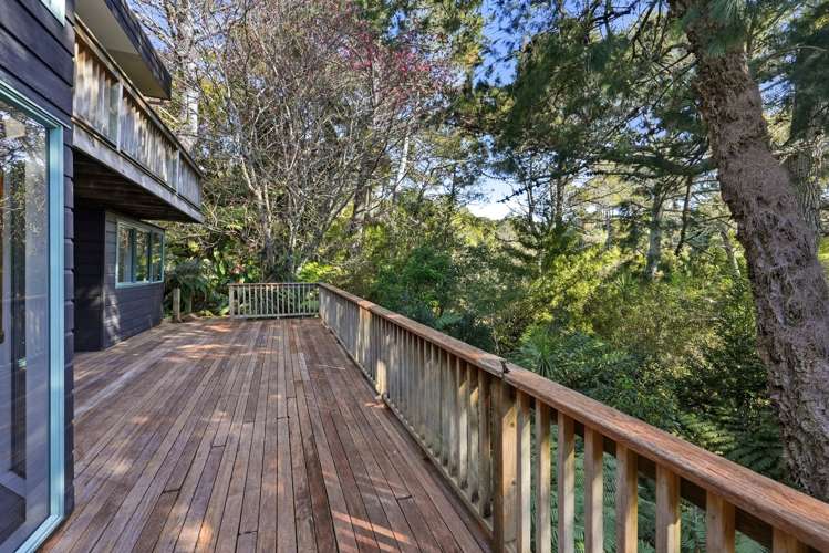 11A Saddleback Rise Murrays Bay_37