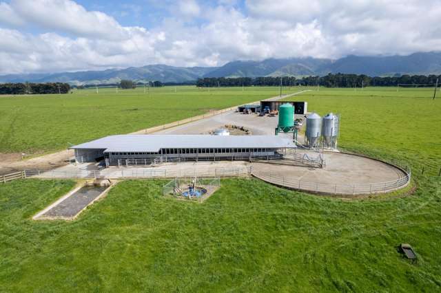 651 Top Grass Road Dannevirke_1