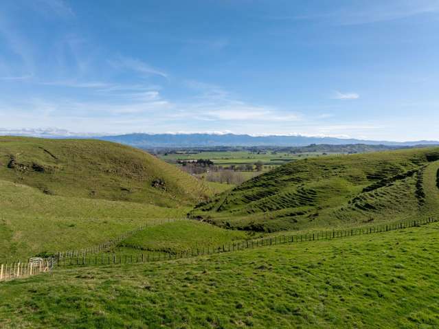 5/546 Masterton Castlepoint Road Masterton_2