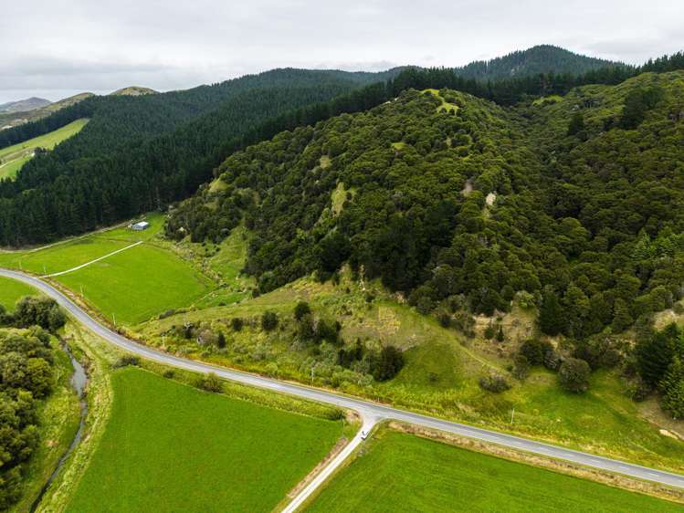 1247 Wharekopae Road Ngatapa_10