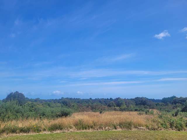 5 Middle Paddock Road Blue Spur_3