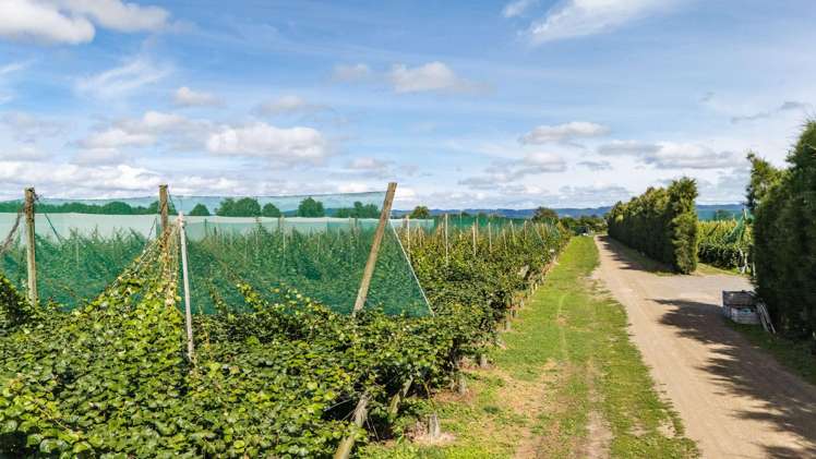 163C Western Drain Road Edgecumbe_7