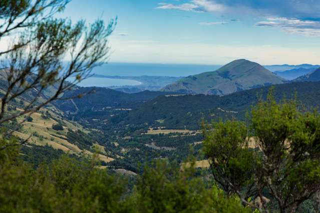 Lifestyle Block - 6.6ha in the Puhi Puhi Valley