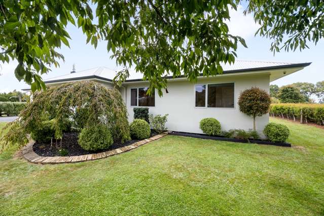 433 Horotiu Road Te Kowhai_1