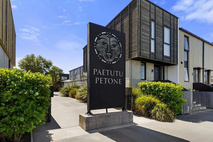 41 Te Ara O Paetutu Petone_11