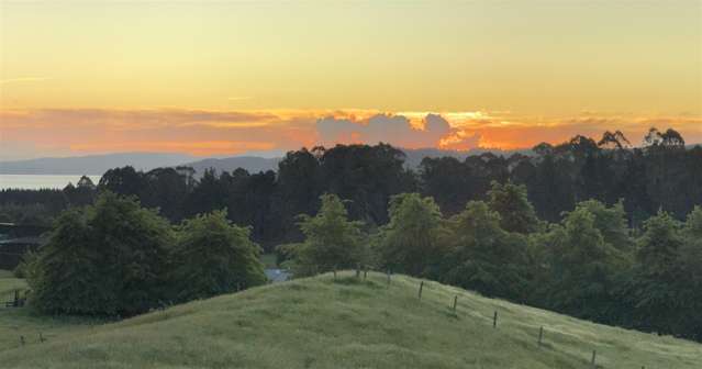 172 Hitiri Road Kinloch_1