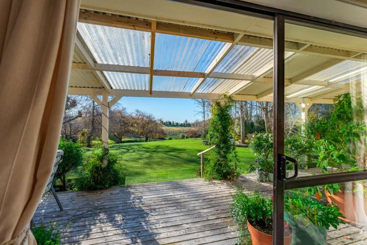17 Sherratt Road Geraldine Downs_9