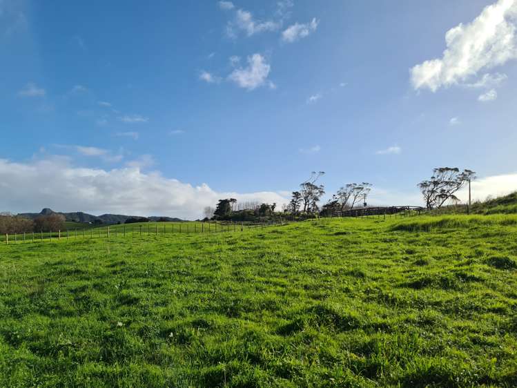 428 Baldrock Road Kaiwaka_6