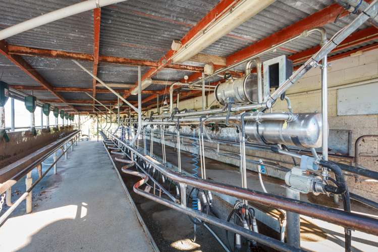 24 Waterworks Road Morrinsville_15