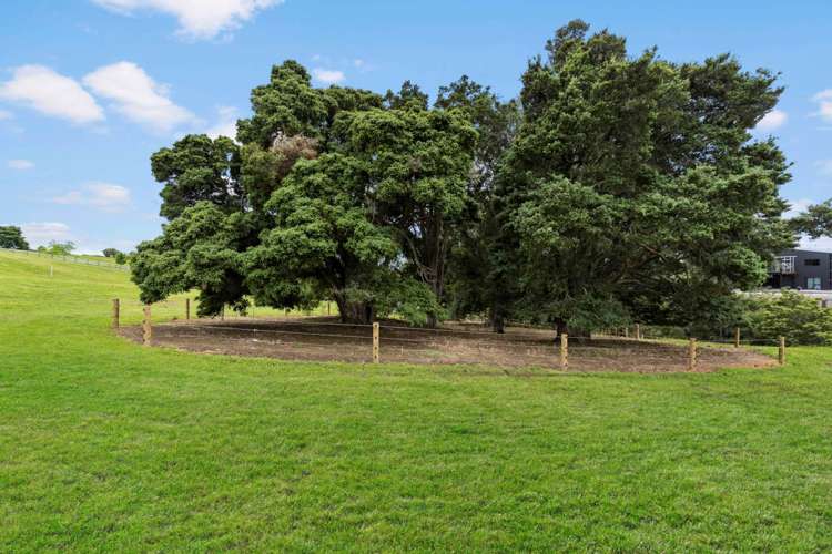 25 Korowai Rise Ramarama_7