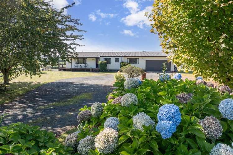 100 Bruntwood Road Pukemoremore_19