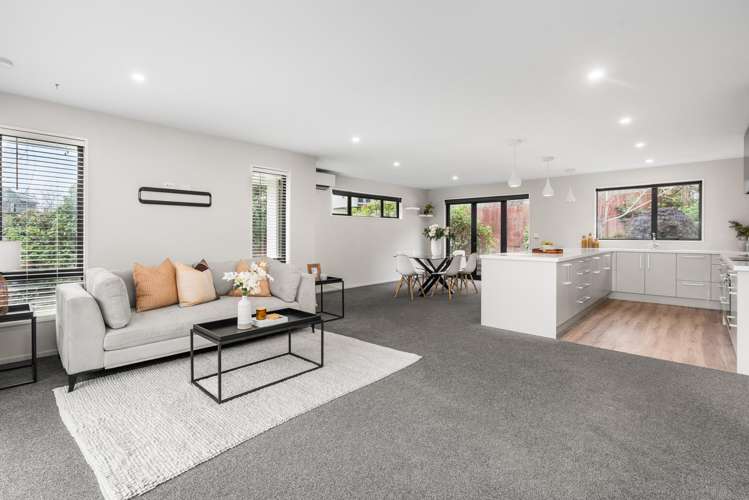 10 Lucas Lane Hillsborough_8