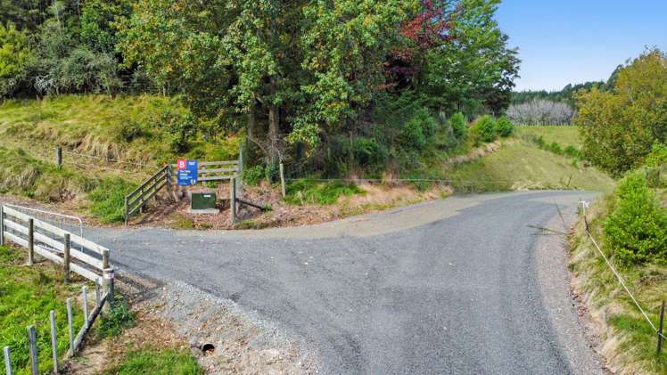 Otumahi Lane Whakatane_16