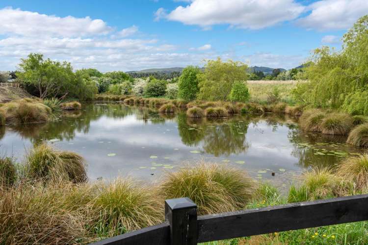 47 Awa Toru Drive Fairfield_14