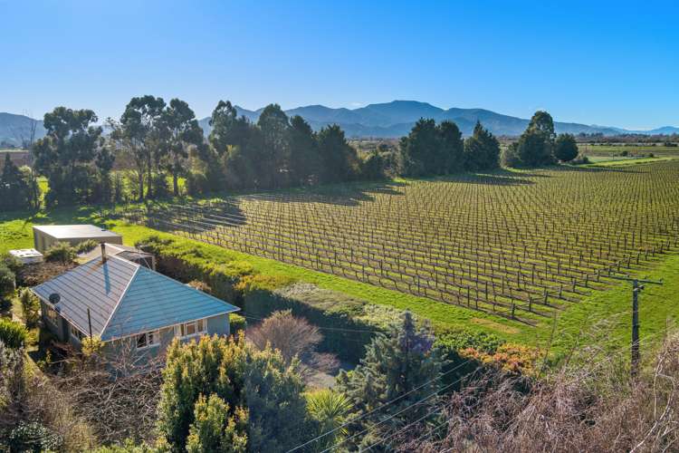 12 Humffrey Street Grovetown_15