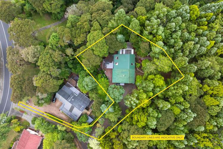 37 Wirihana Road Titirangi_16