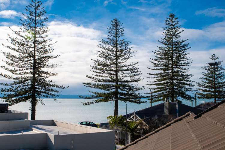 146 Waghorne Street Ahuriri_12