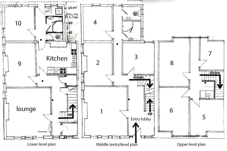 41 Royal Terrace Dunedin Central_13