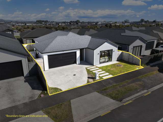 Kauri Flats Family Living - Must Sell!