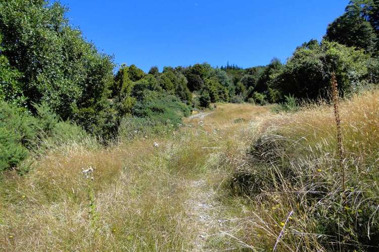 135 Canaan Road Kahurangi National Park_19