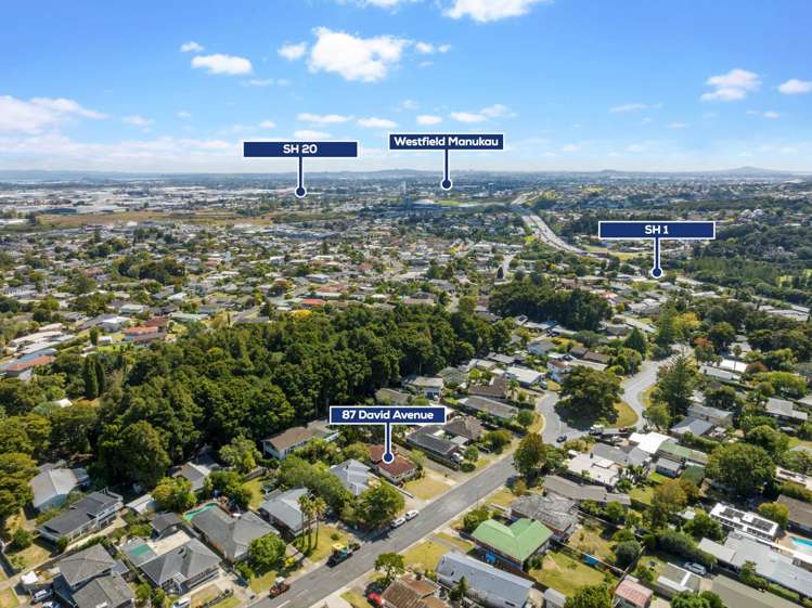 87 David Avenue Hillpark_18