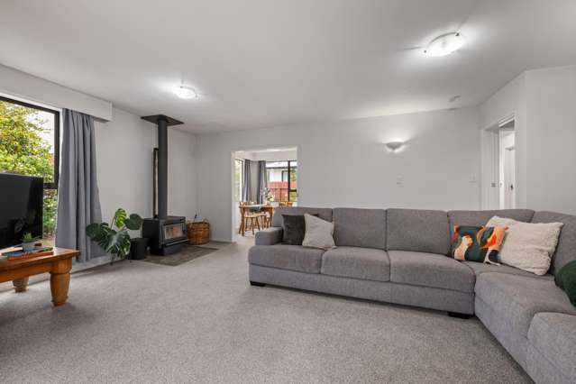 310a Scott Street Witherlea_2