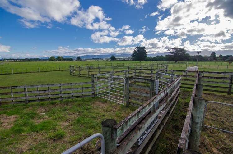 217 Norfolk Road Carterton_15