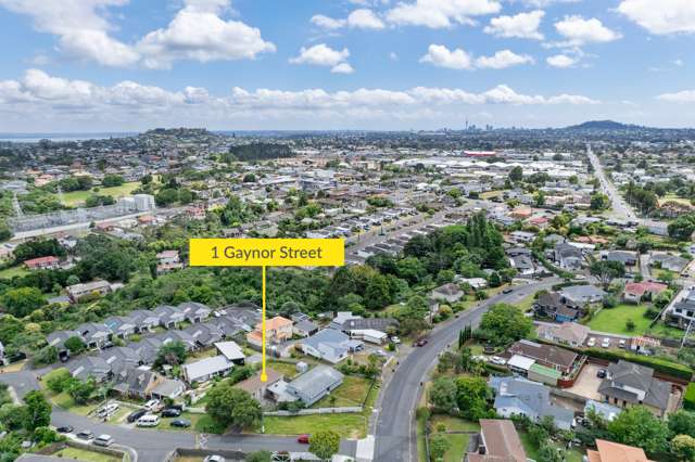 1 Gaynor Street Mount Roskill_3