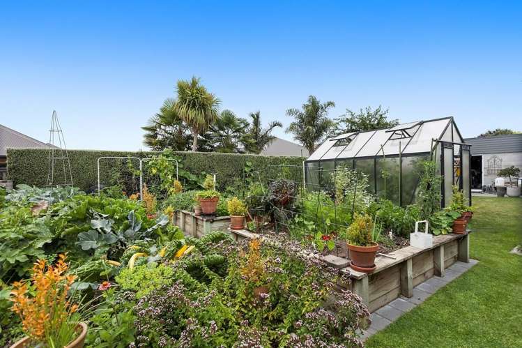 13 Kaimai Drive Matamata_17