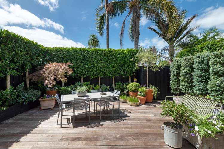 81 Queen Street Northcote Point_8
