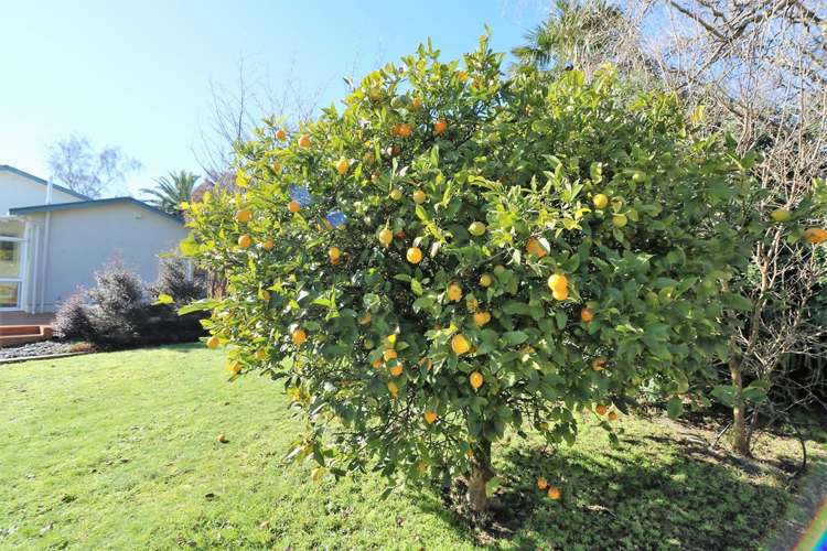 45 Victoria Street Carterton_23