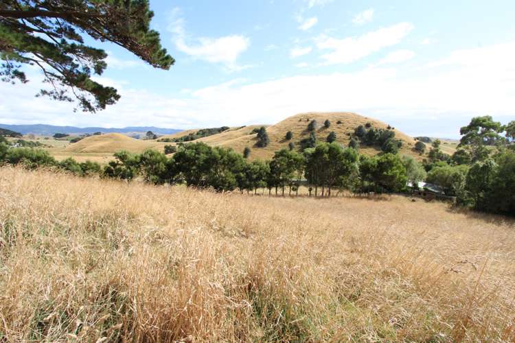 177 North Road Eketahuna_14