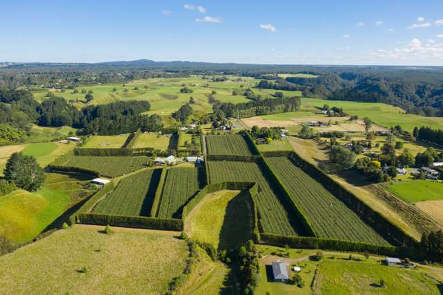 585d Mclaren Falls Road Kaimai_1