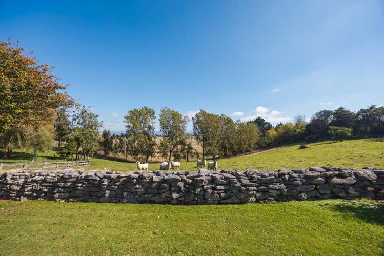 376 Awamoa Road Awamoa_22