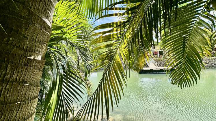 Lot 1 Riverside Gardens Denarau Island_22