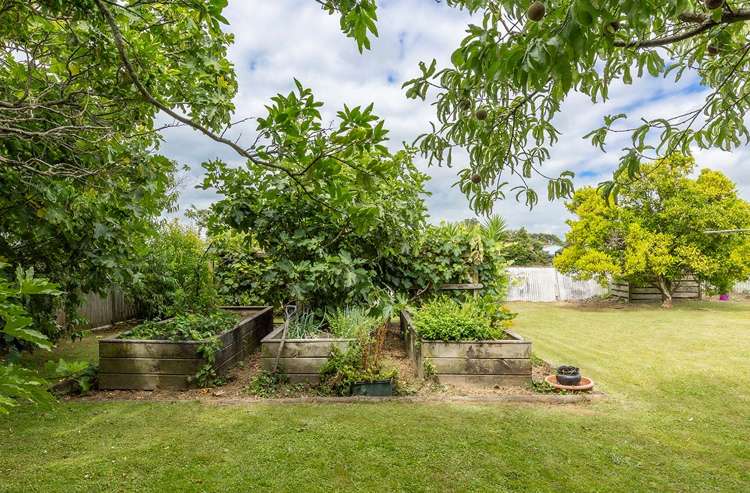 21 Stanley Avenue Te Aroha_16