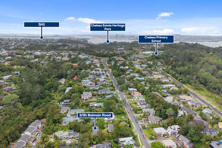 3/91 Balmain Road Birkenhead_24